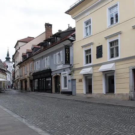 Bright & Spacious Loft In The Heart Of Old Town Apartman *