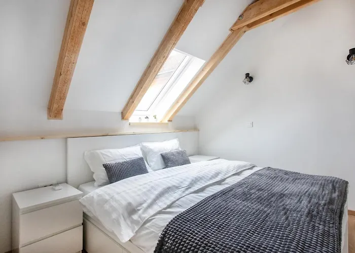 Bright & Spacious Loft In The Heart Of Old Town * Ljubljana