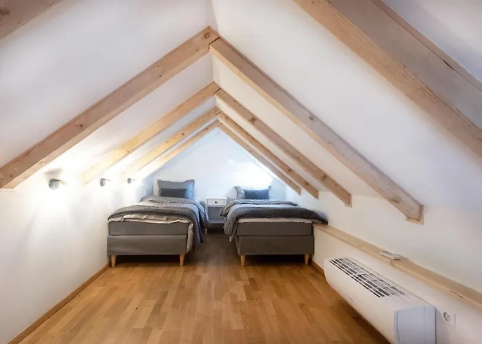 Bright & Spacious Loft In The Heart Of Old Town Apartament Lublana