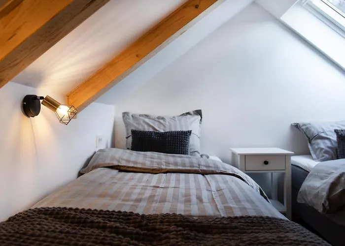 Apartament Bright & Spacious Loft In The Heart Of Old Town *