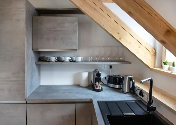 Bright & Spacious Loft In The Heart Of Old Town * Ljubljana